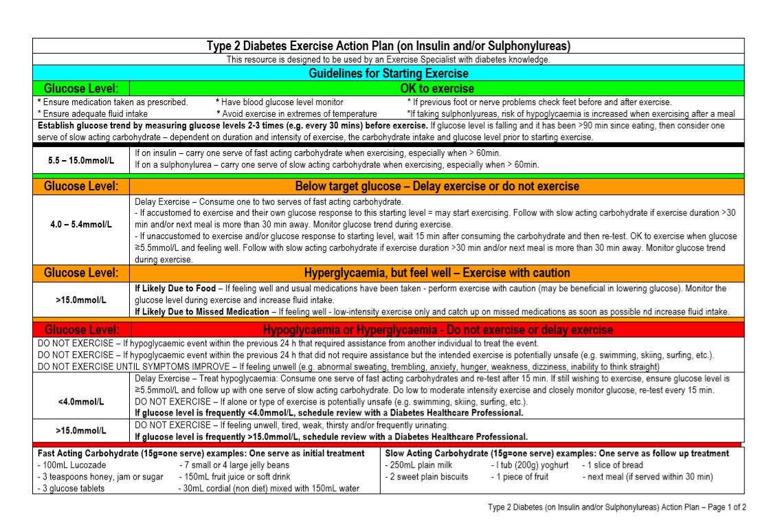 Diabetes action plan type 2