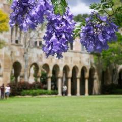 UQ