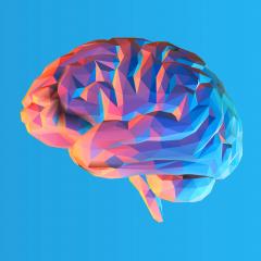 stylised brain